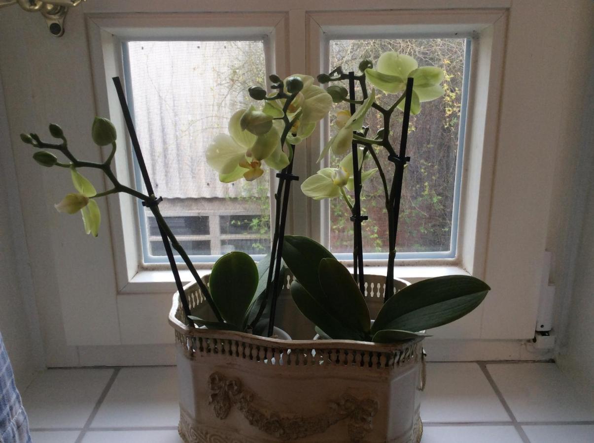 Apartamento Haumannshof Xanten