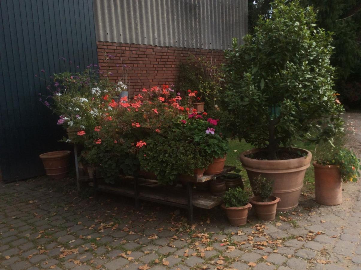 Appartement Haumannshof